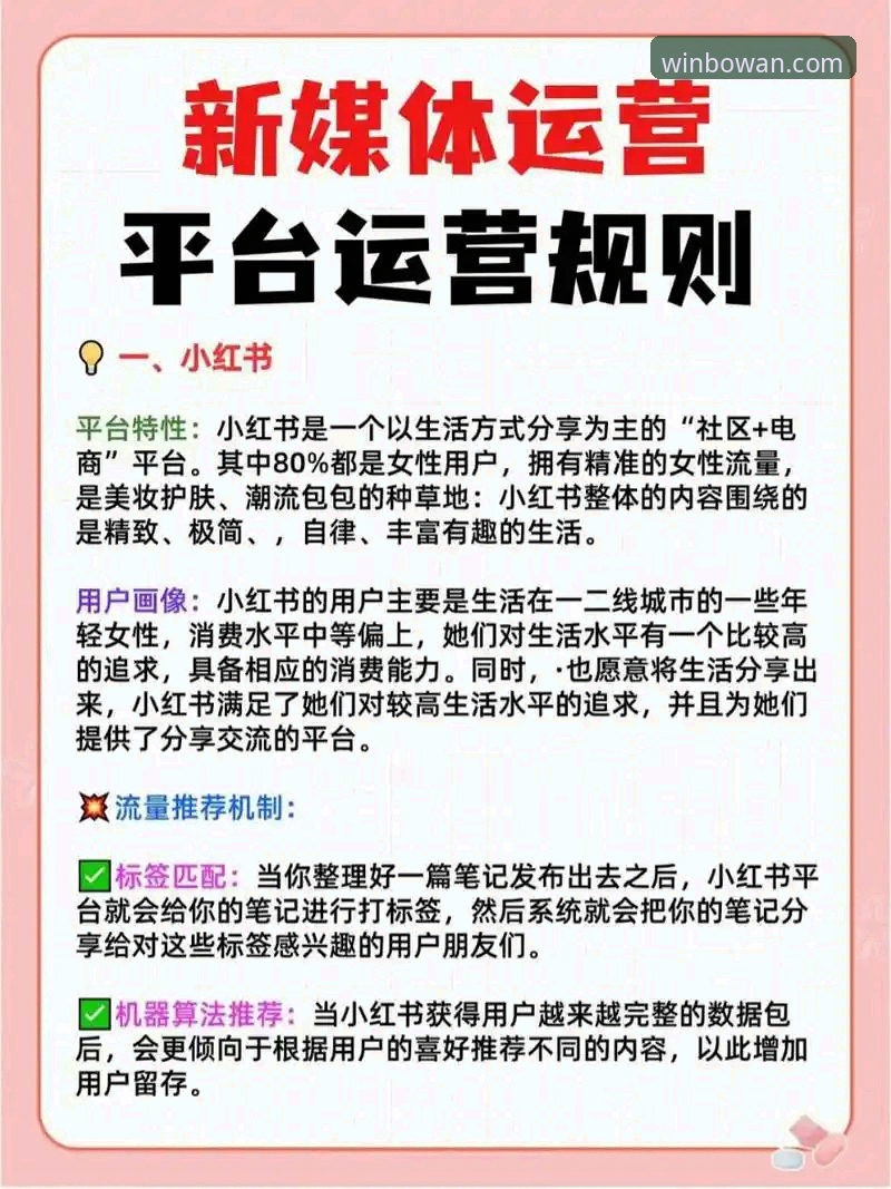 5个关键步骤教你掌握博万娱乐活动的高效玩法，从下载到提现全解析